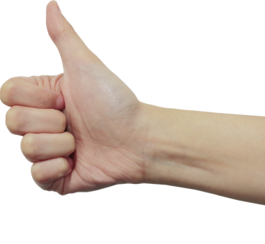 Canva - Human Hand Gesture